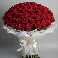 Букет 101 Красная роза Блэк Мэджик в Тереке Ставропольского края