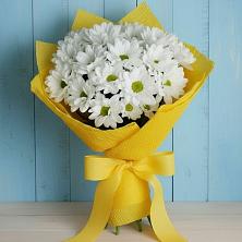 Букет цветов из:  Хризантемы в Тереке Ставропольского края