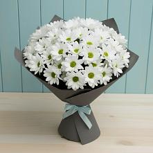 Букет цветов из:  Хризантемы в Тереке Ставропольского края