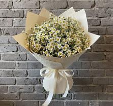 Букет цветов из:  Ромашки #REPLACE_PRED# Тереке Ставропольского края