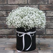 Цветочная композиция из Гипсофила в шляпной коробке в Тереке Ставропольского края