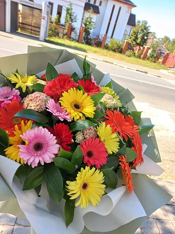 Букет цветов из: Герберы в Тереке Ставропольского края