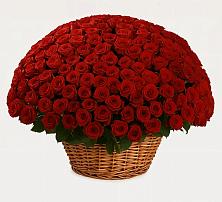 Премиум букет из: Розы #REPLACE_PRED# Тереке Ставропольского края