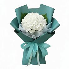 Букет цветов из:  Гортензия #REPLACE_PRED# Тереке Ставропольского края